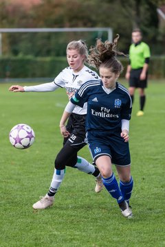 Bild 298 - B-Juniorinnen SV Henstedt Ulzburg - Hamburger SV : Ergebnis: 2:3